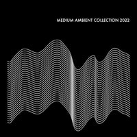V.A. (MEDIUM) / MEDIUM AMBIENT COLLECTION 2022 BLACK（2LP) (レコード)