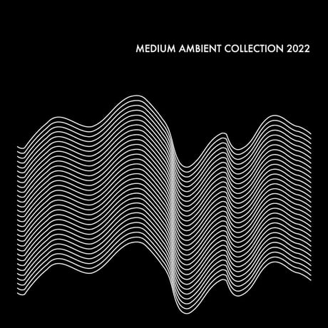 V.A. (MEDIUM) / MEDIUM AMBIENT COLLECTION 2022 BLACK（2LP) (レコード)