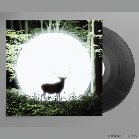 LITE / Installation (LP)