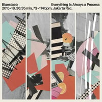 BLUESTAEB / Everything Is Always a Process (CD)
