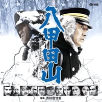越部信義 / 太陽の子エステバン BGM集 VOL.2 (CD) | DIW PRODUCTS