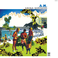 Akira Mizumoto / A.M. (レコード)