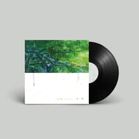 SAM GENDEL / blueblue (CD) | DIW PRODUCTS