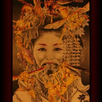 rei harakami / Unrest (CD) | DIW PRODUCTS
