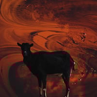 The Keeley / SPOILMAN / Peaky (CD)