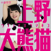 小泉花恋 / 上野大熊猫 (CD)