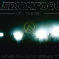 OLEDICKFOGGY / 壁中、月光 眼を剥く (DVD)