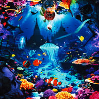 AUTO-MOD / In The Wake Of KING AUTO-MOD (CD)