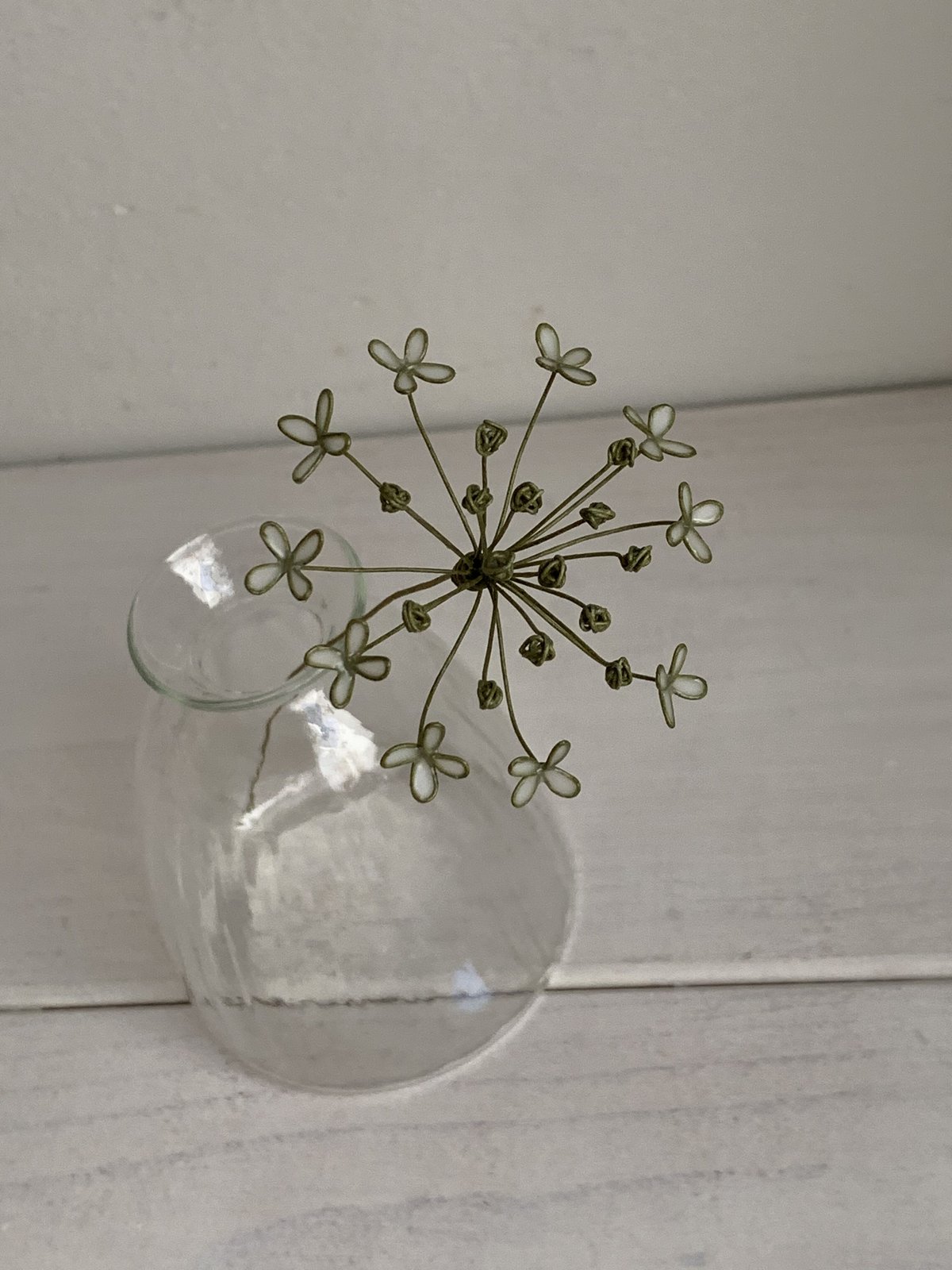 ニラの花　3kg 楽天市場】ニラ（総重量（野菜）1.0 ～ 1.9kg）（野菜・きのこ