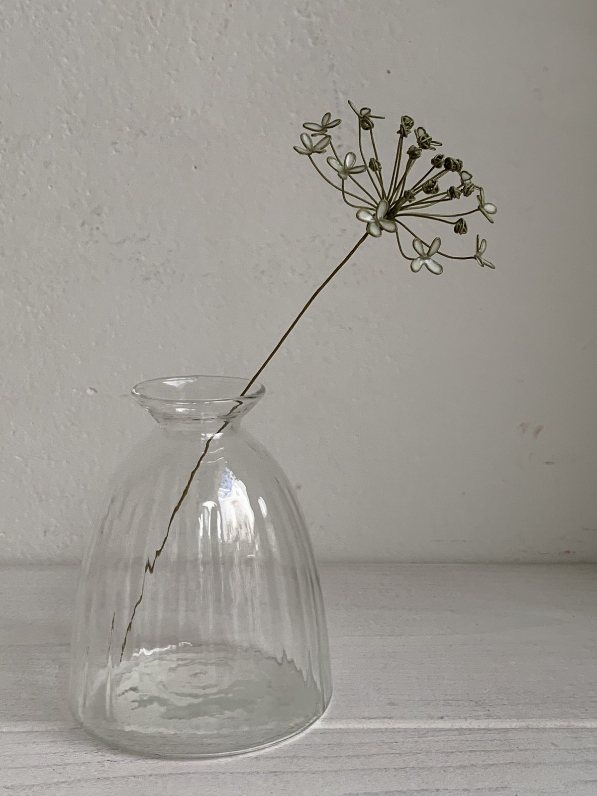 ニラの花　3kg 楽天市場】花ニラ〈ハナニラ〉 花韮1束、100g前後 : 【築地通販