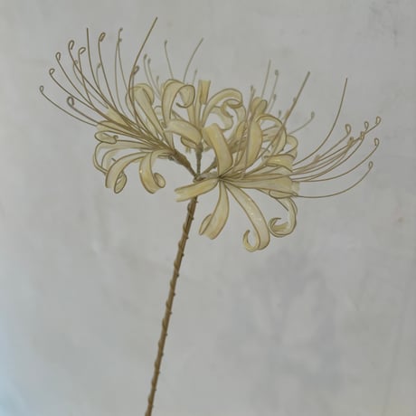 彼岸花　曼珠沙華　手鞠　和飾り つまみ細工】白い彼岸花『白花曼珠沙華 ーLycoris albifloraー