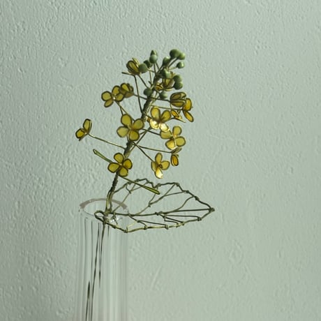 菜の花