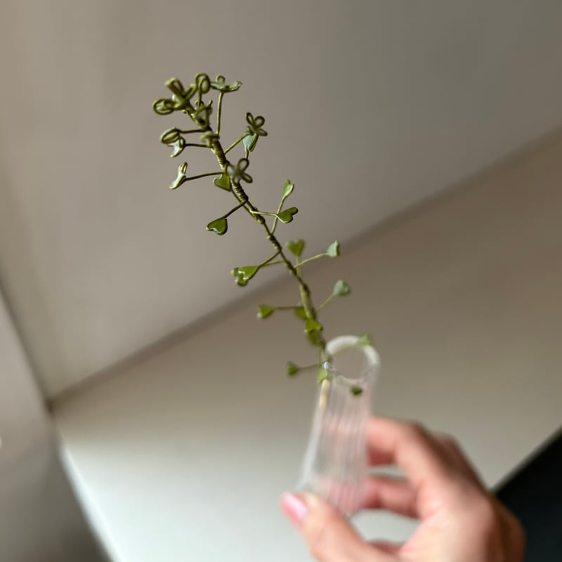 ぺんぺん草 | atelier karin