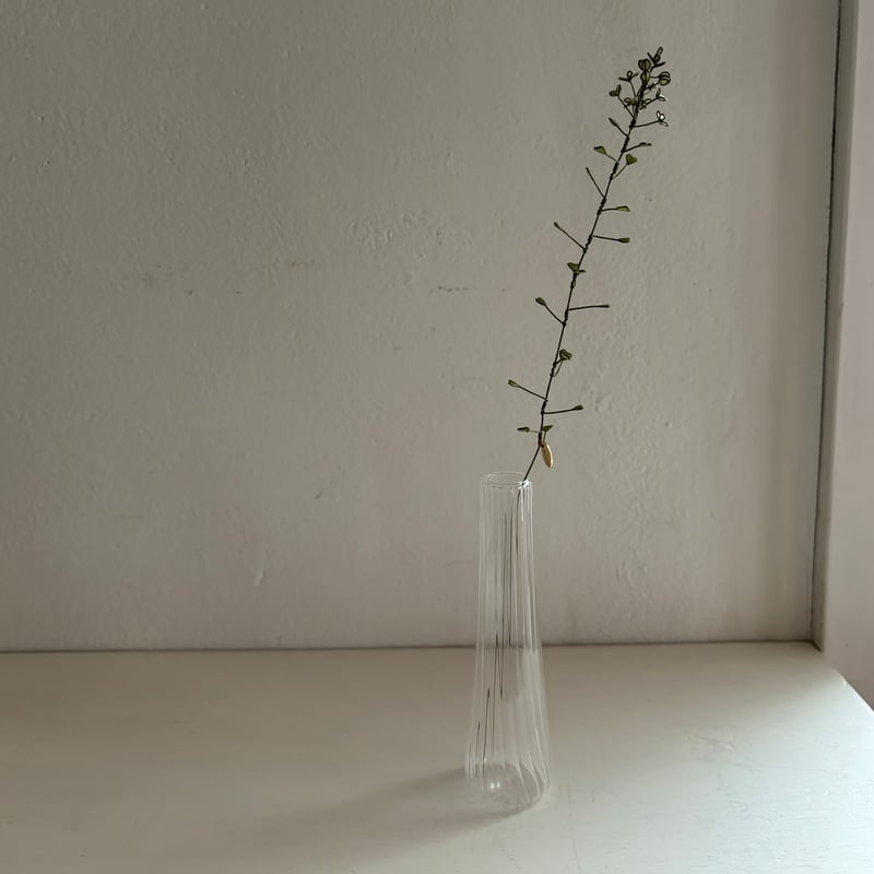 油彩　ぺんぺん草 ぺんぺん草 | atelier karin