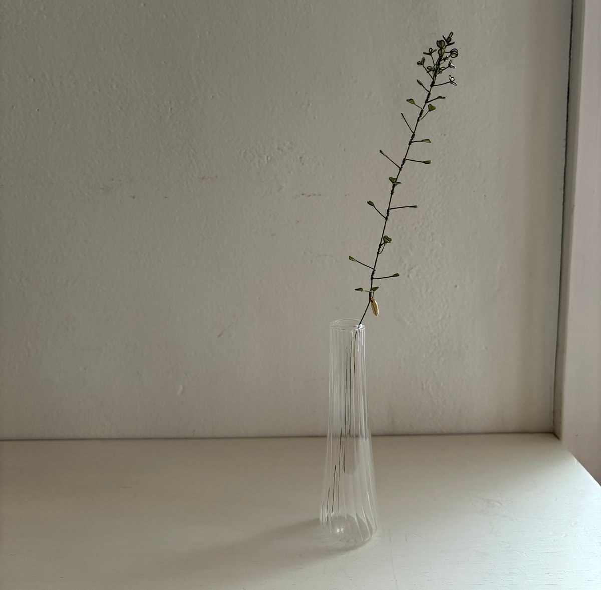 油彩　ぺんぺん草 油彩）ぺんぺん草 | Yui-Fujita-gallery