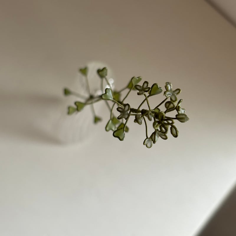 ぺんぺん草 ぺんぺん草 | atelier karin