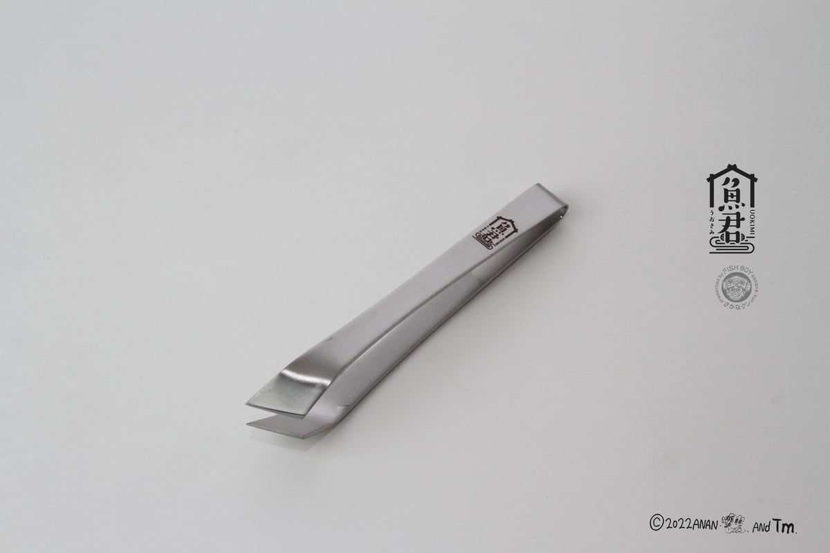 さかなクン さかなクンちゃんねる - Search / X