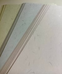 しこくてんれい〈77.5〉　A4　3色【計100枚】