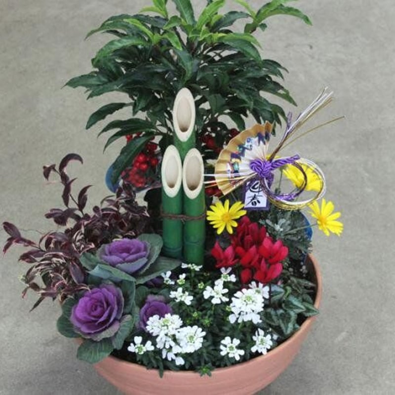 ミニ門松の迎春の寄せ植え | 花とハーブの生産直売 みやしかえん