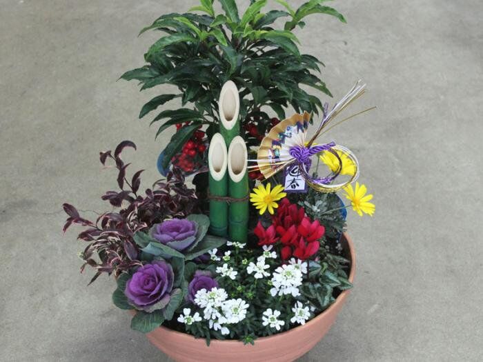 ミニ門松の迎春の寄せ植え | 花とハーブの生産直売 みやしかえん