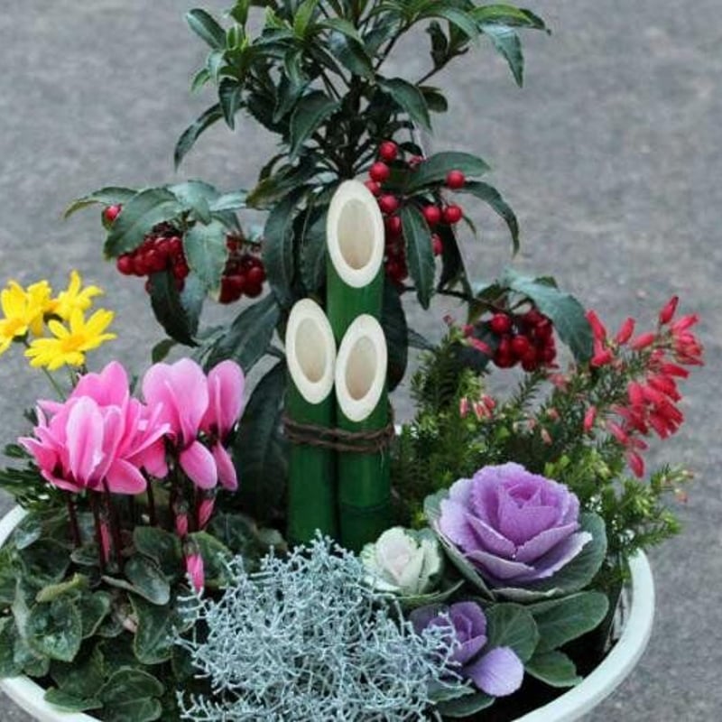 ミニ門松の迎春の寄せ植え | 花とハーブの生産直売 みやしかえん