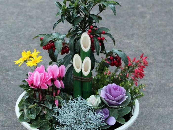 ミニ門松の迎春の寄せ植え | 花とハーブの生産直売 みやしかえん