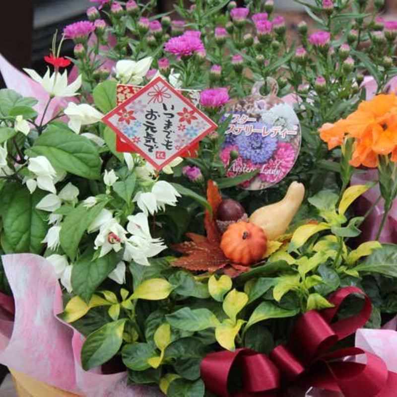 花かごセット（大） | 花とハーブの生産直売 みやしかえん