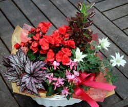 花かごセット（小） | 花とハーブの生産直売 みやしかえん