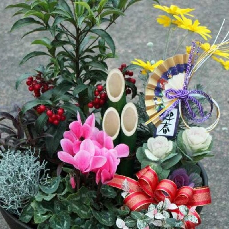 ミニ門松の迎春の寄せ植え | 花とハーブの生産直売 みやしかえん