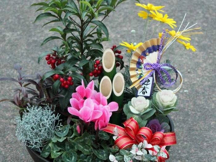 ミニ門松の迎春の寄せ植え | 花とハーブの生産直売 みやしかえん