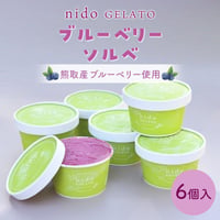 熊取産ブルーベリー使用「Nido GELATO」ブルーベリーソルベ（6個）【Humming Fields】