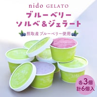 熊取産ブルーベリー使用「Nido GELATO」ソルベ＆ジェラート（2種6個）【Humming Fields】