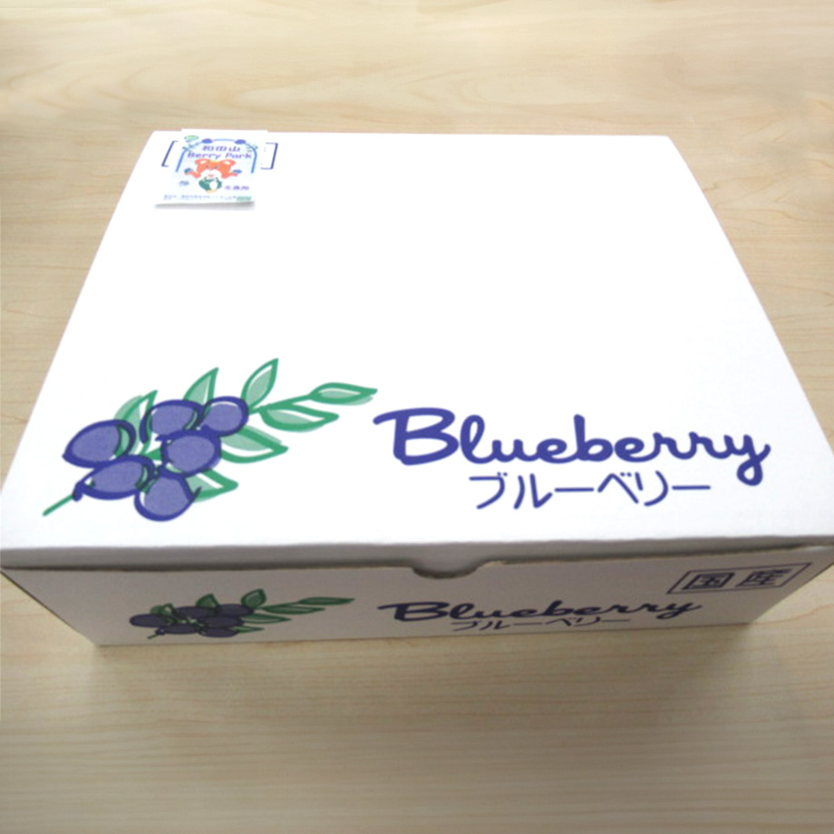 産地直送！特撰ブルーベリープレミアム (4パック) 【グリーンパーク