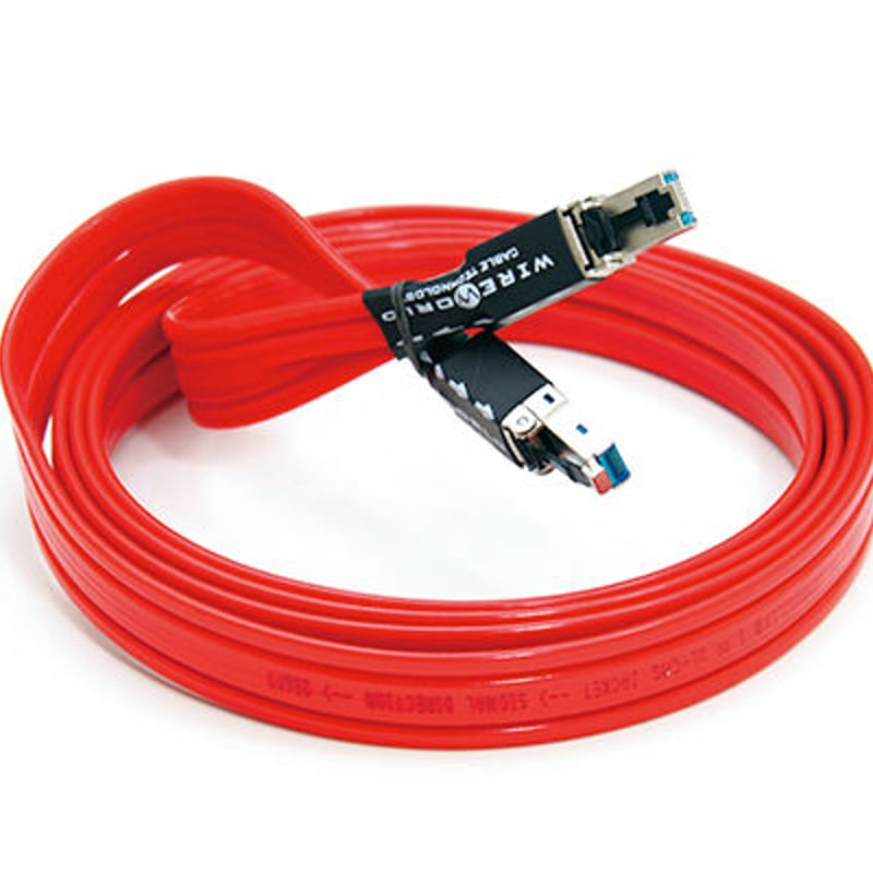 WIREWORLD SILVER STARLIGHT デジタルケーブル 1m WireWorld Silver Starlight 7 USB Cable; 1m Digital Interconnect