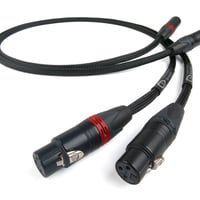<メーカー直送>SignatureX Tuned ARAY XLR