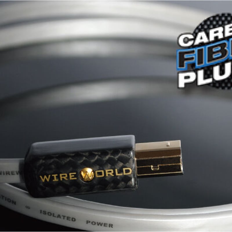 メーカー直送>WIREWORLD Platinum Starlight 8/P2AB/USB...