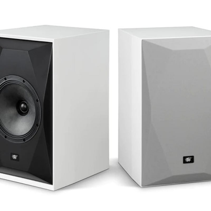 MISCO アイアン 8Ω スピーカー ホワイト（ペア）