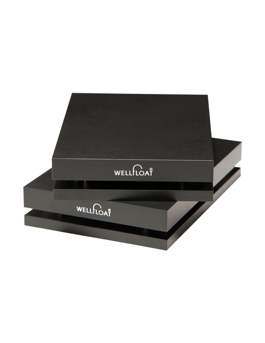 ウェルフロート　BW001 WELLFLOAT : BW001 A4 (ノーマル仕様/1台) - 中古 | オーディオ