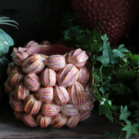 Pot lanternflower Vase