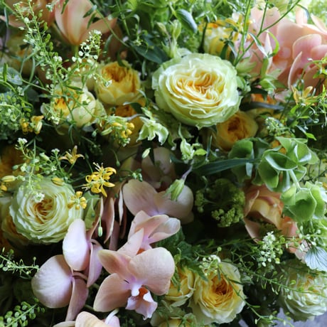 【5/４(月)までの到着分】2026Mother's day Arrangement