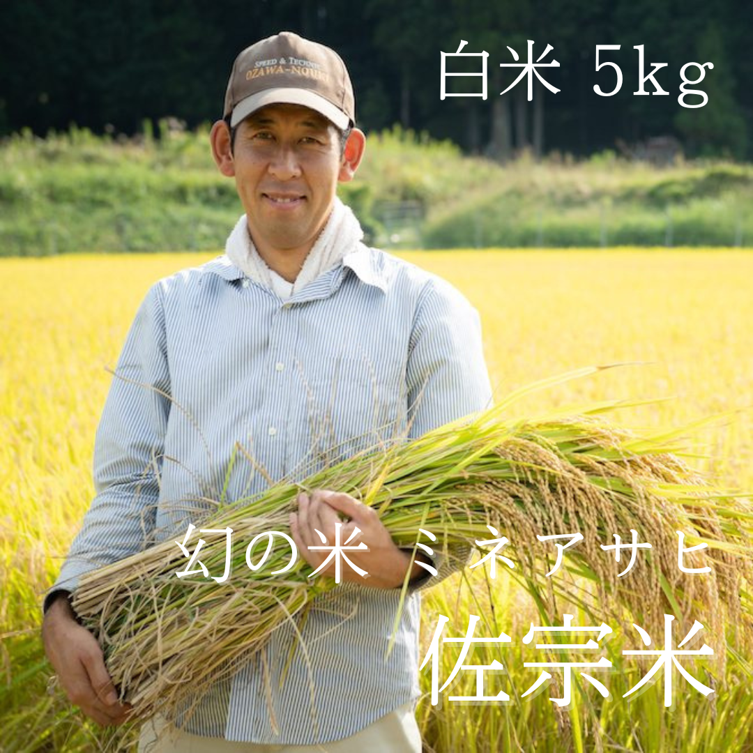 新米！【白米／5kg 】佐宗米（幻の米 ミネアサヒ）【送料無料】 | 佐宗農園