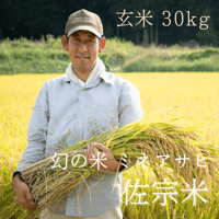新米！【白米／30kg 】佐宗米（幻の米 ミネアサヒ）【送料無料