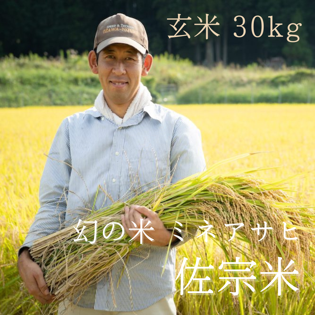 新米！【玄米／30kg 】佐宗米（幻の米 ミネアサヒ）【送料無料】