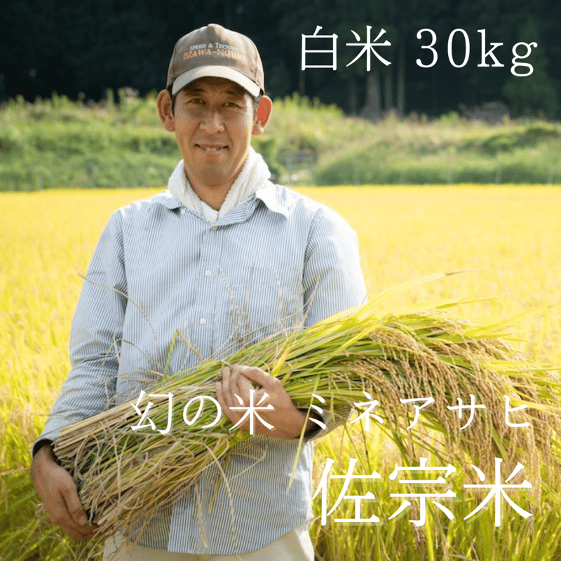 新米！【白米／30kg 】佐宗米（幻の米 ミネアサヒ）【送料無料