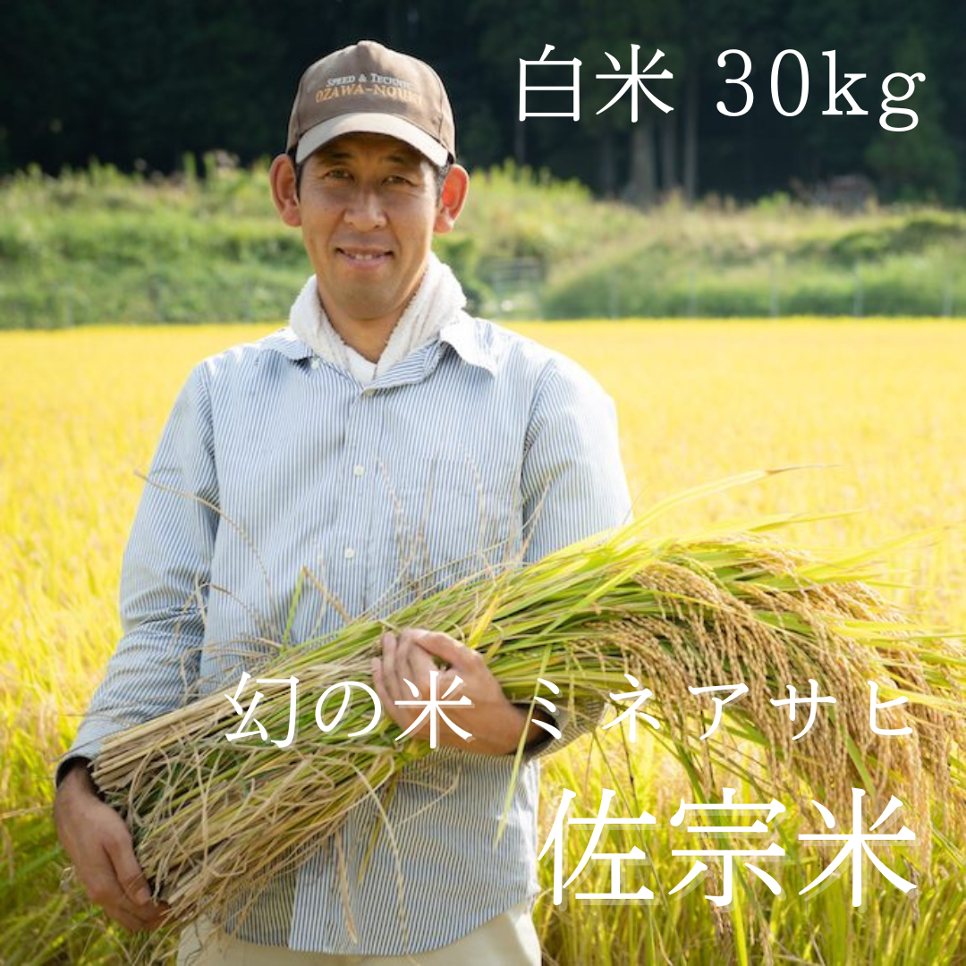 新米！【白米／30kg 】佐宗米（幻の米 ミネアサヒ）【送料無料