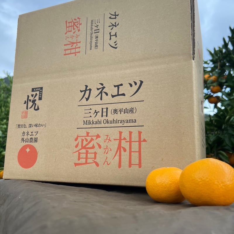 みかん農家のおやつみかん 早生みかん 10kg | カネエツ外山農園