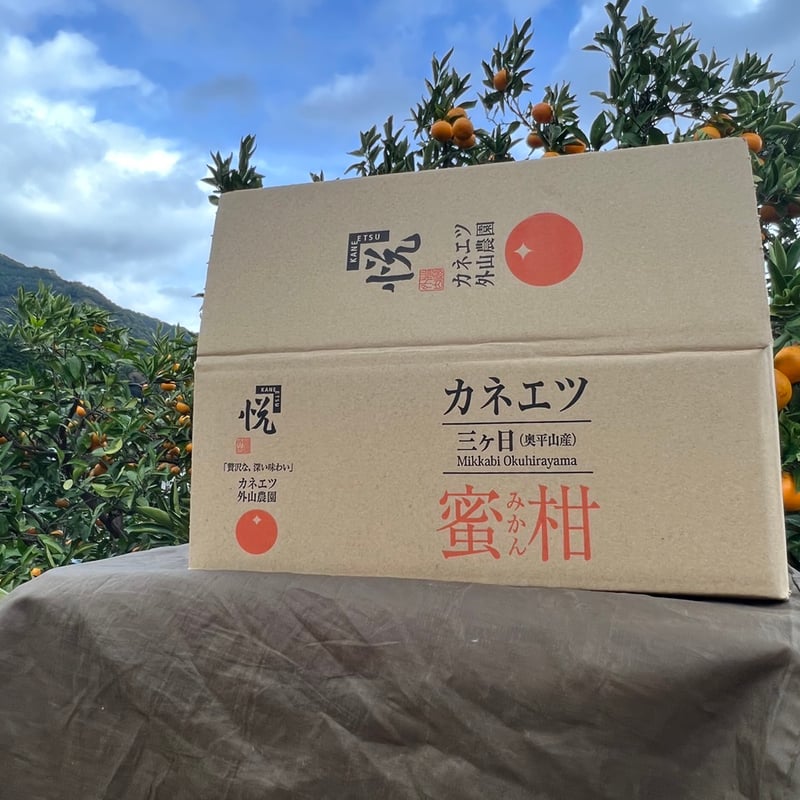 ギフト】三ヶ日みかん 早生 10kg | カネエツ外山農園
