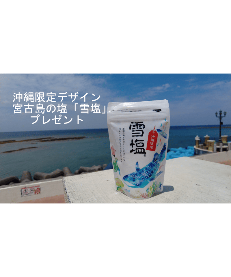 業務用 キッチン用浄活水器 「プラチナワンウォーター」＆プレゼント付き（雪塩・沖縄限定デザイン...