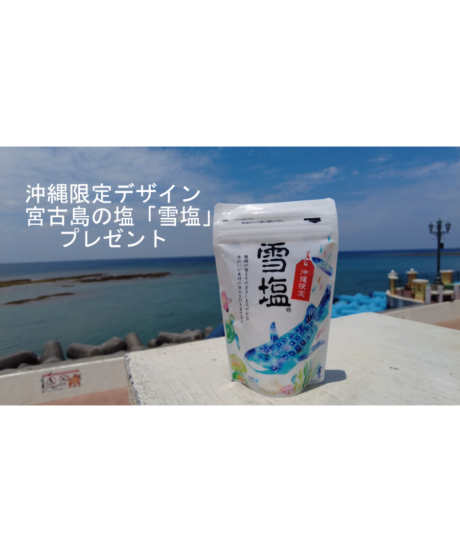 業務用 キッチン用浄活水器 「プラチナワンウォーター 業務用 キッチン用浄活水器 「プラチナワンウォーター