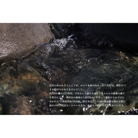 【熟成酒】湯川酒造店 十六代九郎右衛門 金紋錦 火入れ 生酛